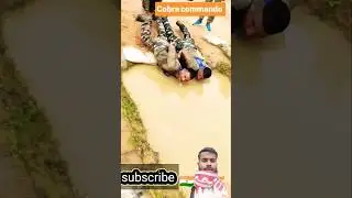 #cobra #commando# ki #training# #short# video# viral #your #green# screen #video