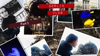 Берлин влог.Berlin Vlog. Part 2. KaDeWe,Берлинский собор, Аква дом.
