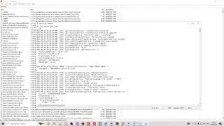 Bypassing A Screenshare To Rancio (CEO Screenshare Comunity) With Drip Lite