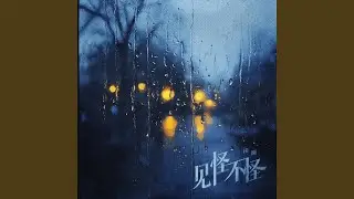 见怪不怪 (伴奏)