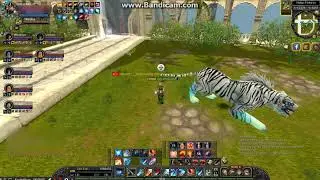 Silkroad Aeolus HOTAN Fw MODD Ws 3 Guild Hard Fw...