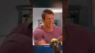 The human torch and The thing swap powers! The fantastic four
