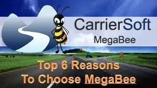 Top 6 Reasons To Choose MegaBee