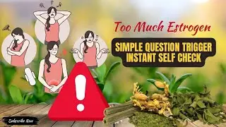 PMS, Acne, Weight Gain? The Hidden Estrogen Problem Explained (Ayurveda + Science) | Dr Jyoti Singh 