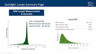 10x-pert Workshop | HMW DNA Sample Preparation Techniques and Best Practices