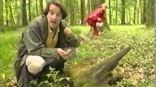 C'est pas Sorcier(l'Essentiel) La Forêt, Écosystème, Exploitation