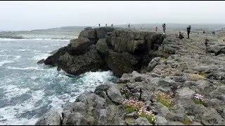 The Burren - First stop - County Clare - Ireland
