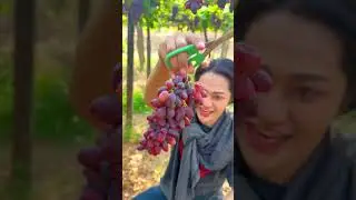 အမြန်လမ်း စပျစ်သီး 🍇🍇🍇🍇