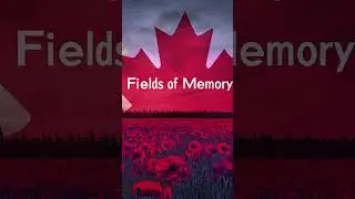 🍁Fields of Memory 🎶 Multimedia Magic (Official Music & Video)