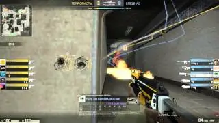 bizon ace :bb