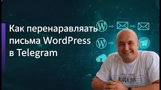 Отправка писем WordPress в Telegram бота с фильтрацией и настройками