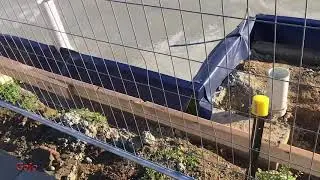 Termite Barrier | Townhouse Development 5