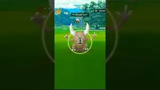 Caught wild pinsir 1800+cp 😇