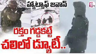 Jawan Viral Video || Low Temperature || రక్తం గడ్డకట్టే చలిలో డ్యూటీ..|| | Suman TV Vali