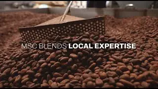 Shipping Cocoa: Dry Cargo Container Shipping | MSC