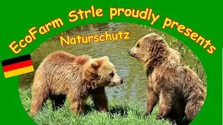 Naturschutz - NATURA2000-Gebiet (Notranjski Regionalpark, Iska-Zala-Schluchten)