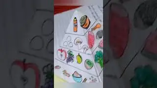Summer Holiday science homework # worksheet #questions # sciencenews magazine # MDP class 7 by Manvi