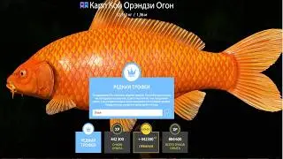 ПРОВЕРКА ФАРМА СЕРЕБРА на МЕДНОМ и ТРОЛЛИНГ и ГЛУБИНЫ за КРУПНЯКОМ на МОРЕ РУССКАЯ РЫБАЛКА 4 РР4