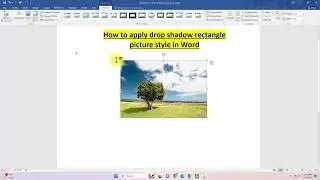 How to apply drop shadow rectangle picture style in Word