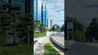 北京三元橋散步｜車流高架與綠意步道的慢生活Walking Sanyuan Bridge Beijing｜From Traffic Rhythms to Green Path Serenity