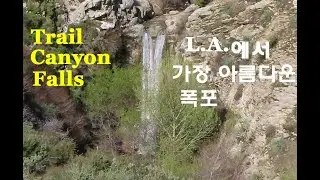 Trail Canyon Falls/L.A.에서 가장 아름다운 폭포/Trail Canyon Trail