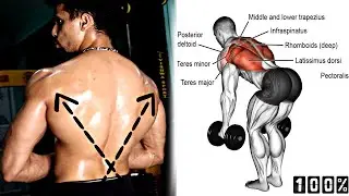 V-Shape Back with BETTER NUTRITION Whey Protein 🤯🇮🇳 Workout With Muscle Mass Gain (100% Guaranteed)