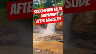 Soochipara Falls Wayanad|after landslide #shortsfeed #shortvideo