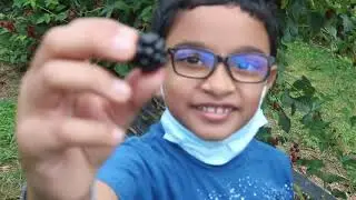 Farm Tour - Butler's Orchard