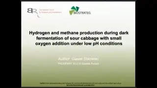 Hydrogen and Methane Production During Dark Fermentation of Sour Cabbage, Wheat Eng. Gaweł Sołowski