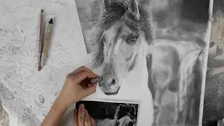Drawing hyperrealistic Horse in Real-time