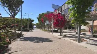 Universidad de Almería
