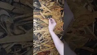 Fusion of Ink and charcoal on OSB wood