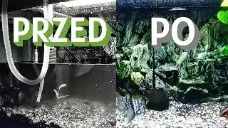 Świąteczne porządki w zapuszczonym  ;-)  akwarium