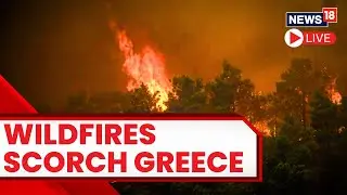 LIVE: Wildfires Scorch Greek Countryside Amid Record Temperatures In Europe | Greece Wildfires 2023