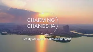 Listen to the Sounds of Songya Lake and Witness the City's Thriving Green Core