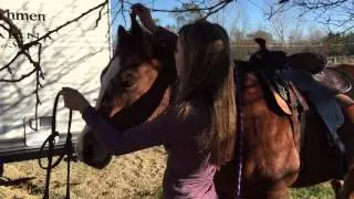 How to Tack-Up a Horse Western Style