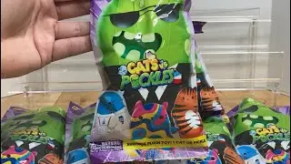 Cats vs. Pickles PURPLE Wave Blind Bag Unboxing & Review Video