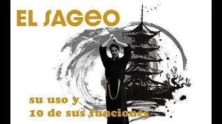 Iaido con Olivier Le Guen Cap.5 El Sageo