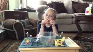 Shopkins Pool Party