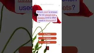 Which plant is known for its vibrant red flowers and is often used in bouquets? #worldquiz #quiz