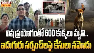 విష ప్రయోగంతో 600 కుక్కలు మృతి.. ఐదుగురు సర్పంచ్&zwnj;లపై కేసులు నమోదు | Kamareddy District | Raj News
