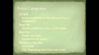Acupuncture: The Xi Cleft's Function