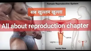 Reproductive health class 12 | fertilization process | reproductive health | and female se*x organ|