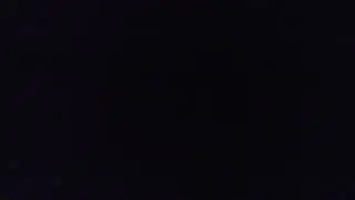 L&ouml;sung f&uuml;r Baumschnecken Video