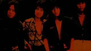 甲斐バンド　東京の一夜