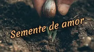 Salmos-Semente de amor 