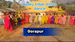 Araku tribal dimsa dance sankranti festival day-3#araku#tribal#dimsa#dance#sankranthi#festival#viral