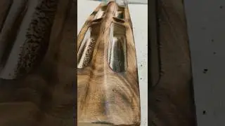 kookaburra bat popular willow wodden cricket bat🏏 with scoops bat🏏#trending #viral #crecket #shorts