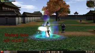 Metin2 - Kampfrausch P