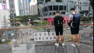 ORCHARD DESIGN , SCAPE.. SUNDAY AFTERNOON